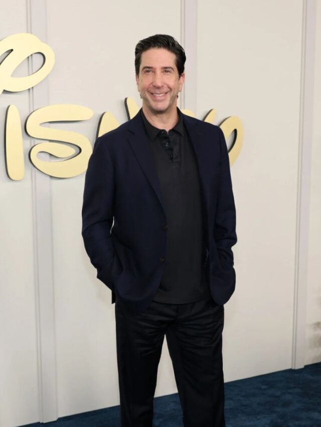 David Schwimmer Net worth, His Life and Fame
